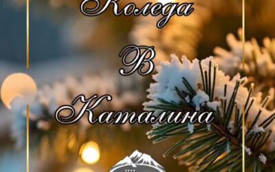 🎄Коледа в Комплекс Каталина